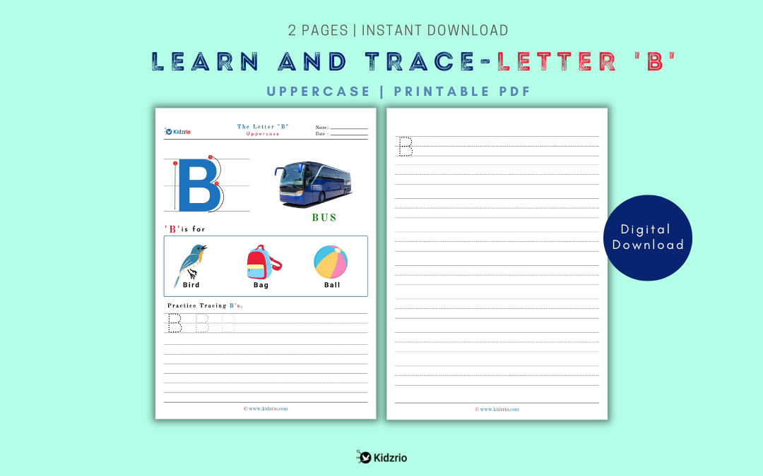 Learn And Trace Letter B (Uppercase)