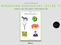 Beginning Consonant Letter "Z"