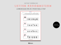 Letter Recognition Lowercase (m-p)